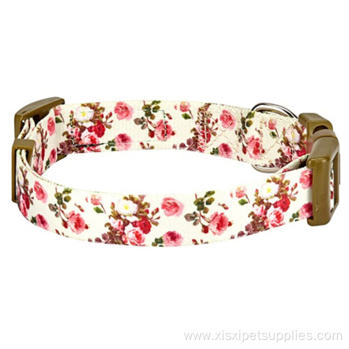 dog collars in pulk wholesale dog collar custom